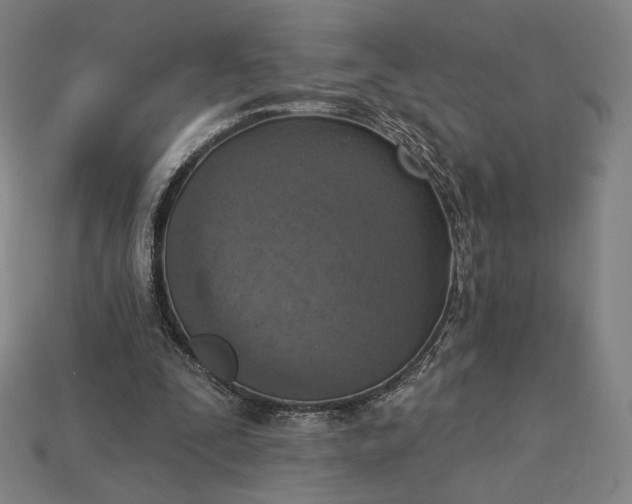 X0000115230295200911131649