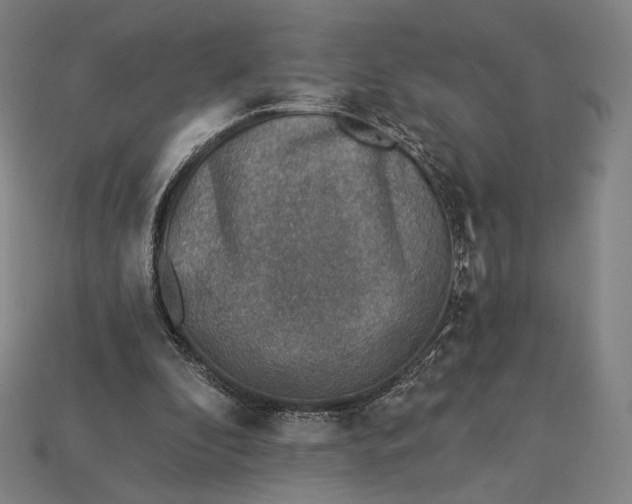 X0000115230296200911131649