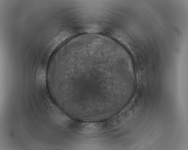 X0000115230297200911131649