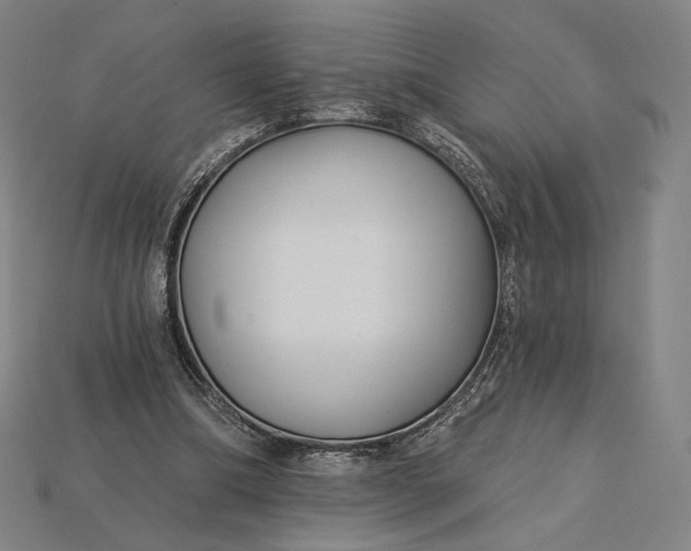 X0000115230298200911131649