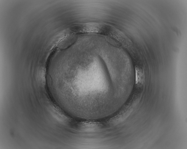 X0000115230300200911131649