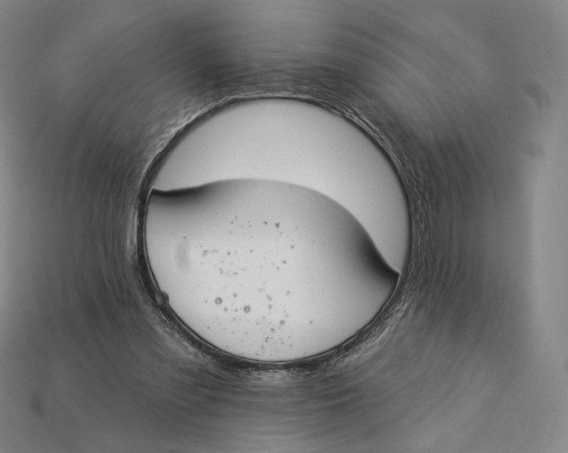 X0000115230301200911131649