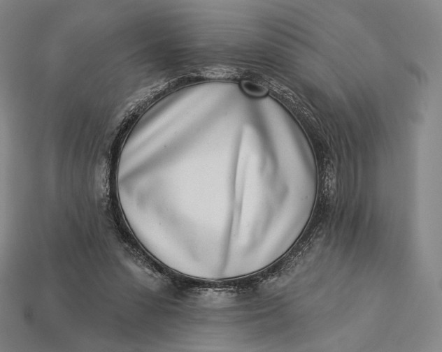 X0000115230303200911131649