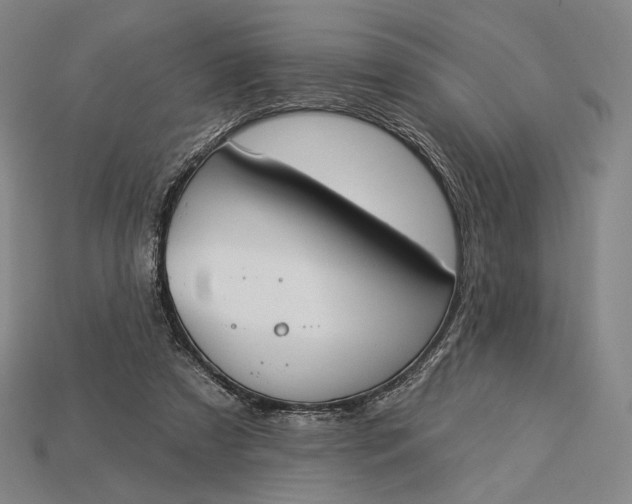 X0000115230305200911131649