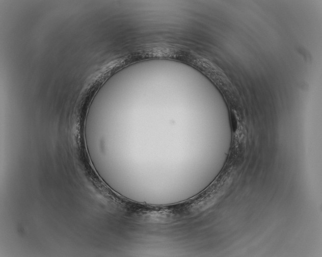 X0000115230306200911131649