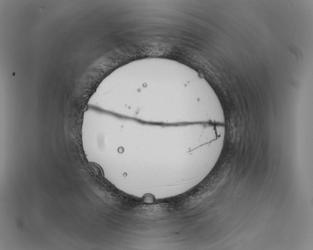 X0000115230307200911131649