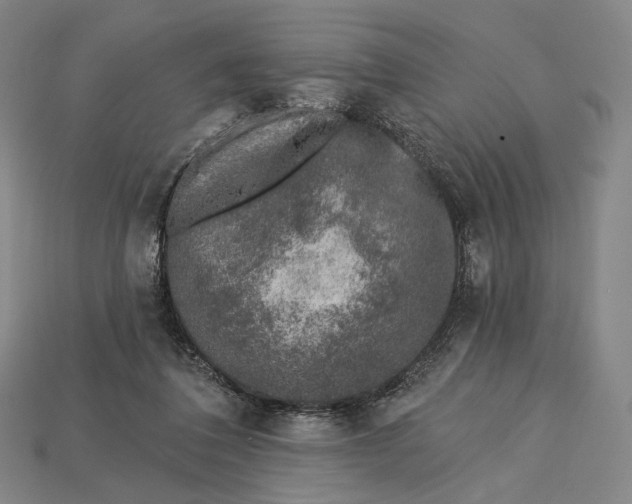 X0000115230308200911131649