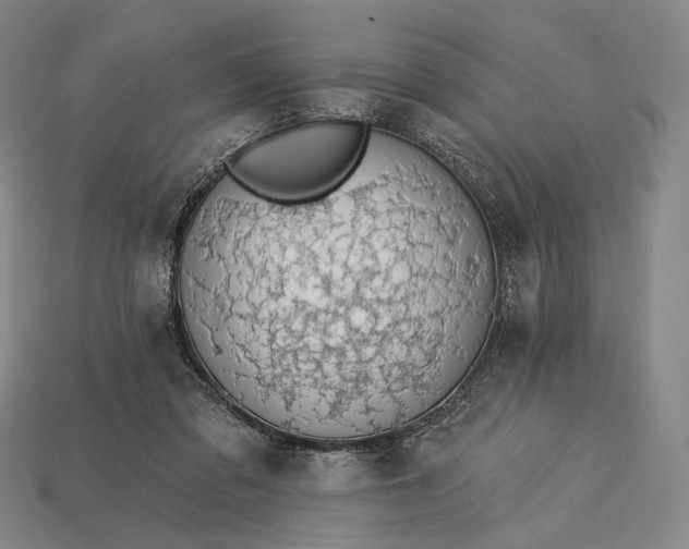 X0000115230309200911131649