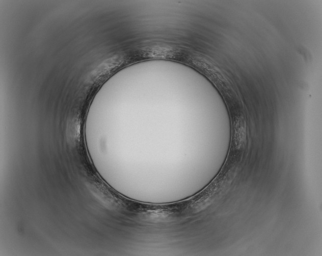 X0000115230310200911131649