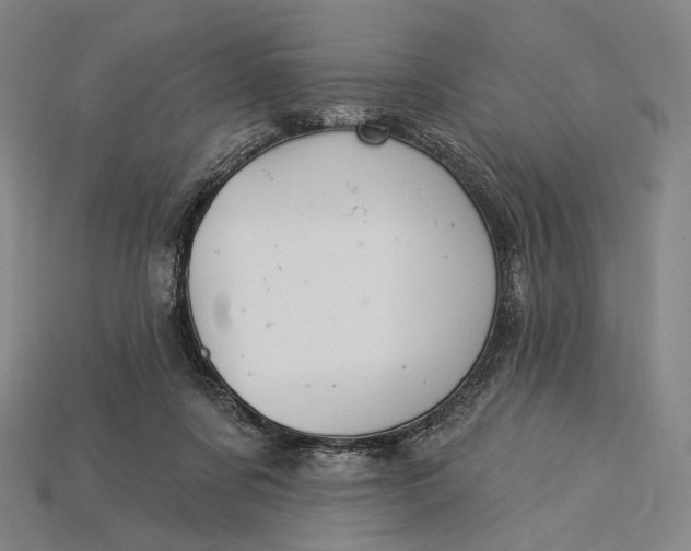 X0000115230311200911131649