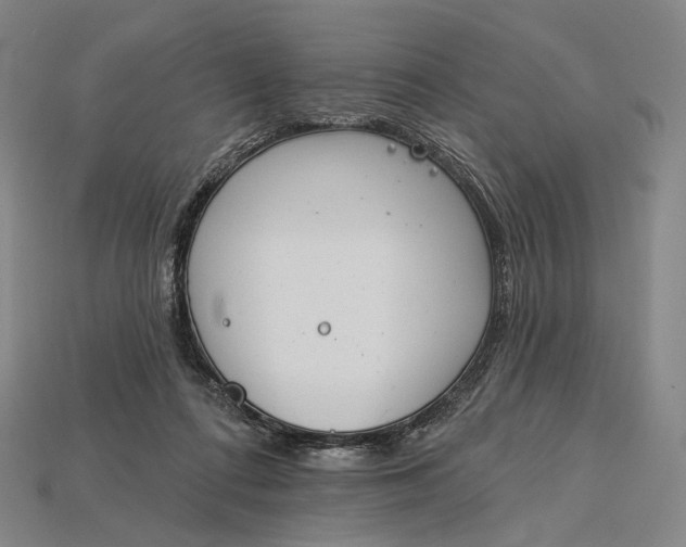 X0000115230312200911131649