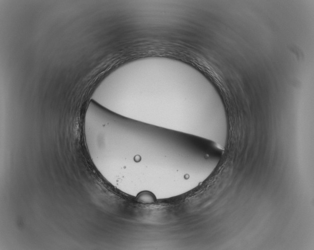 X0000115230313200911131649