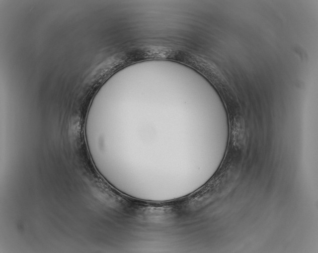 X0000115230314200911131649