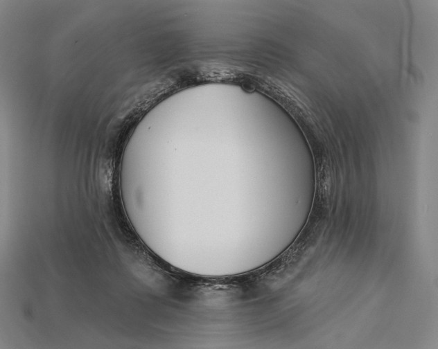 X0000115230315200911131649