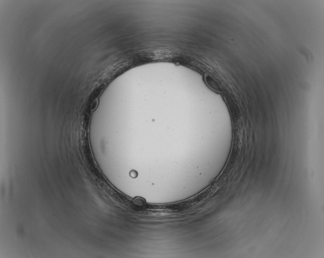 X0000115230316200911131649