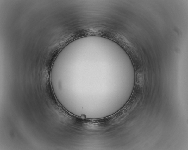 X0000115230318200911131649