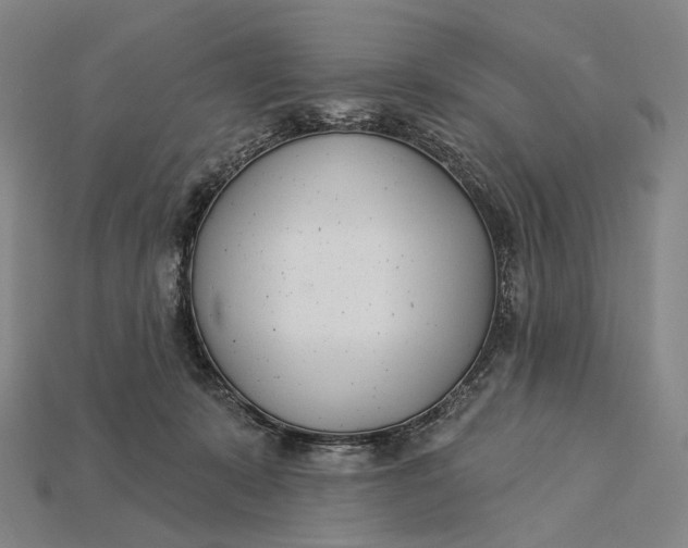 X0000115230319200911131649