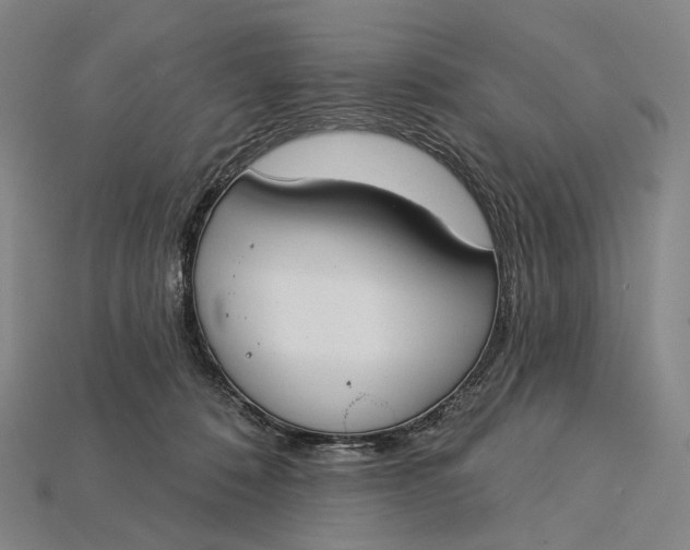 X0000115230320200911131649