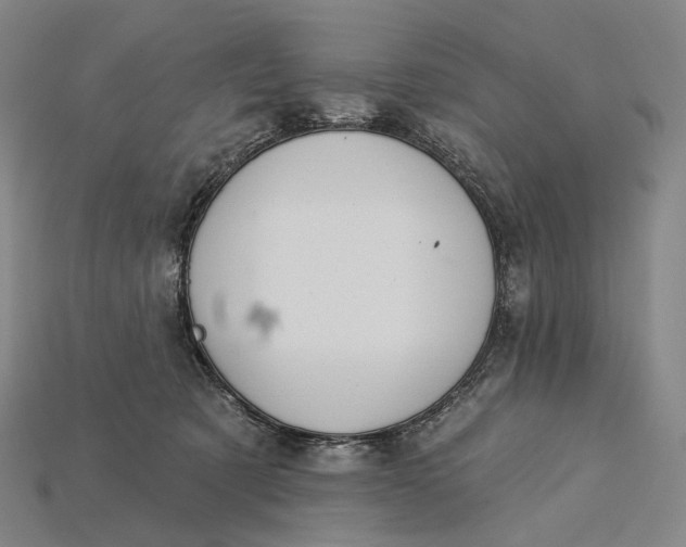 X0000115230321200911131649