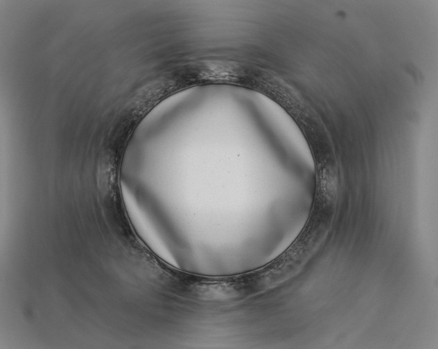 X0000115230322200911131649