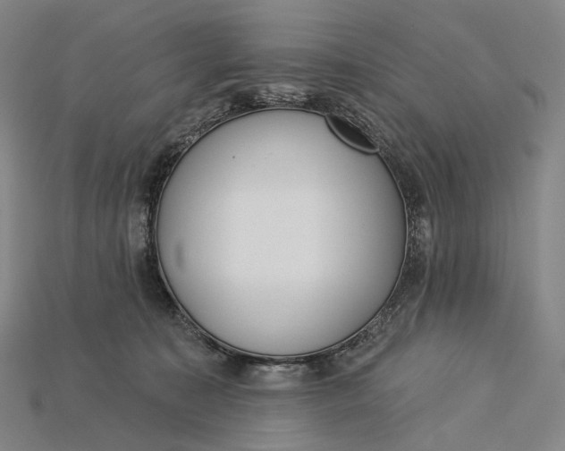 X0000115230323200911131649