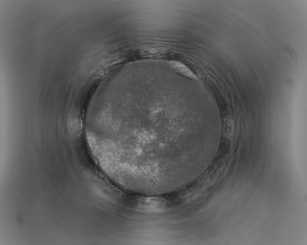 X0000115230324200911131649