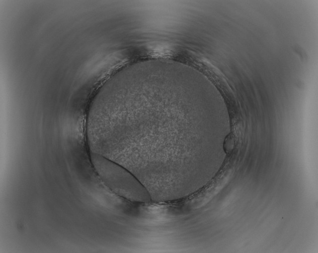 X0000115230325200911131649