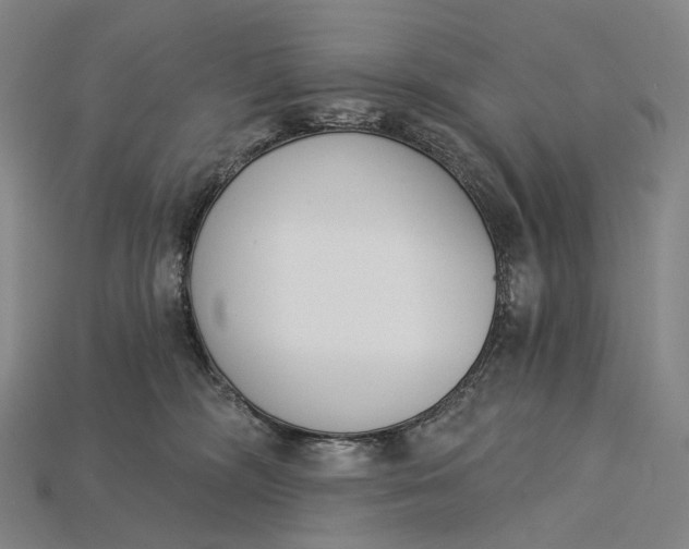 X0000115230326200911131649