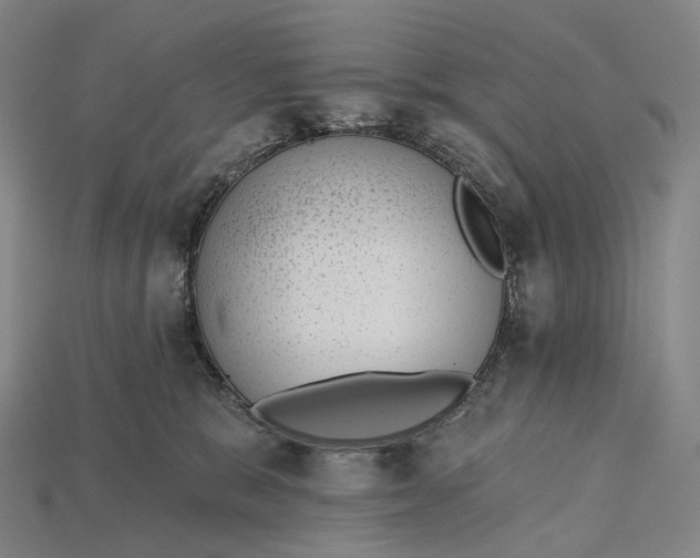 X0000115230327200911131649