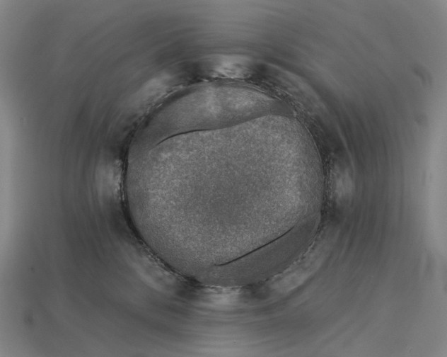 X0000115230328200911131649