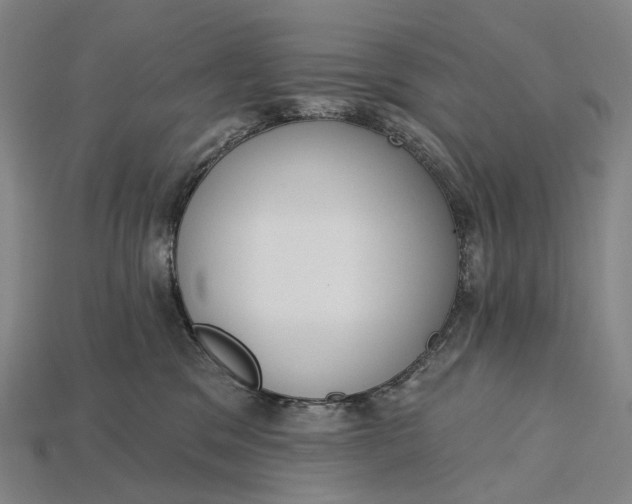 X0000115230329200911131649