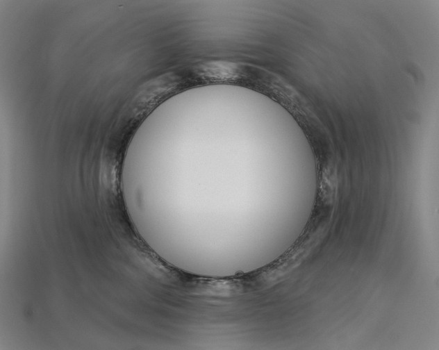 X0000115230330200911131649