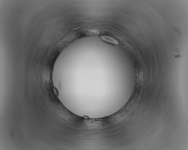 X0000115230331200911131649