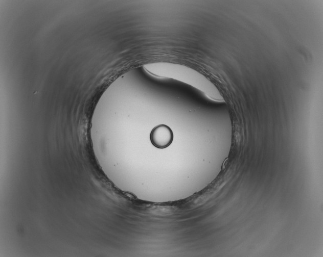 X0000115230332200911131649