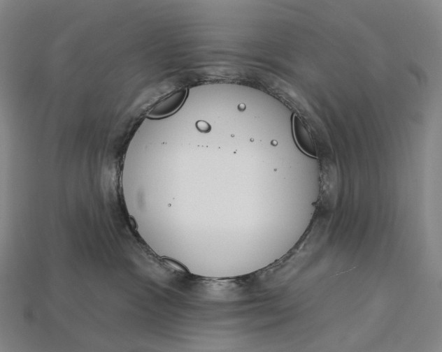 X0000115230333200911131649