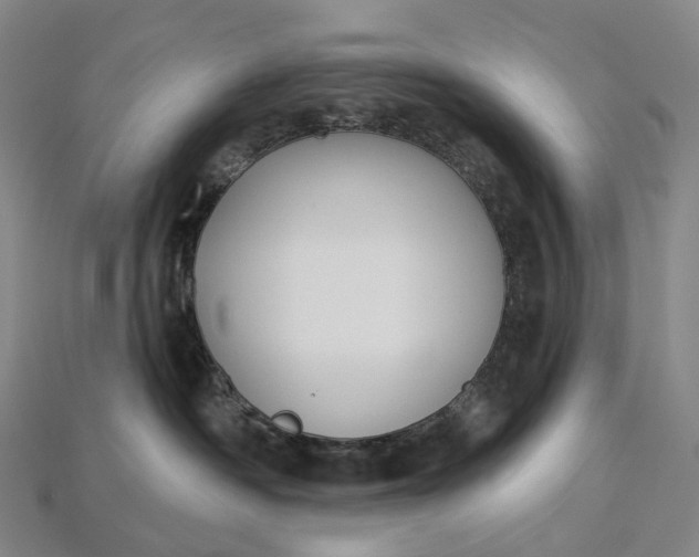 X0000115230334200911131649