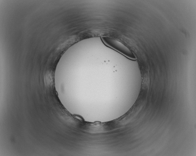 X0000115230335200911131649