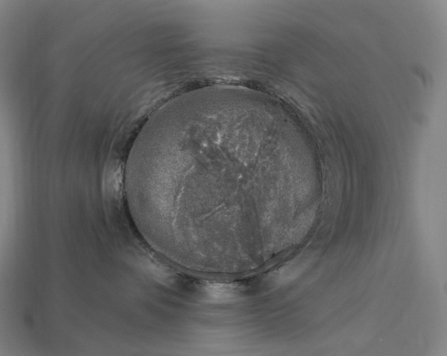 X0000115230336200911131649