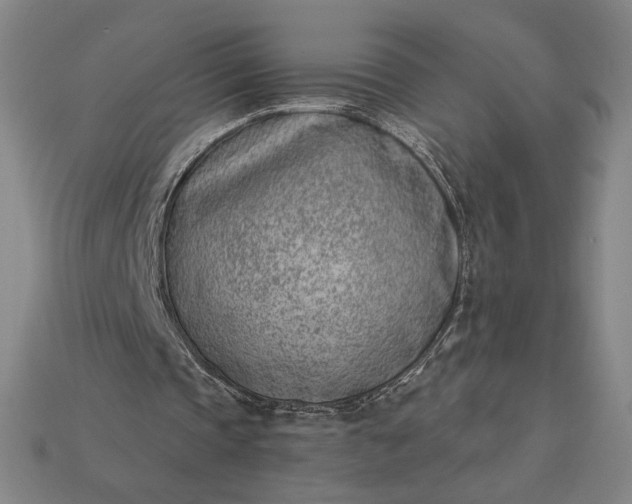 X0000115230337200911131648