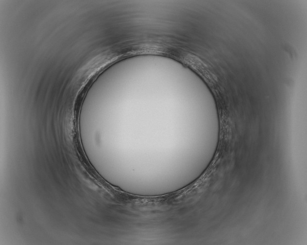 X0000115230338200911131648