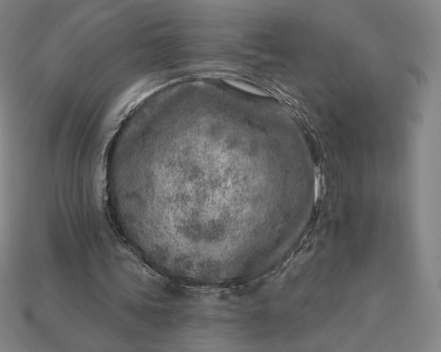 X0000115230339200911131648