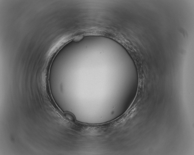 X0000115230341200911131648