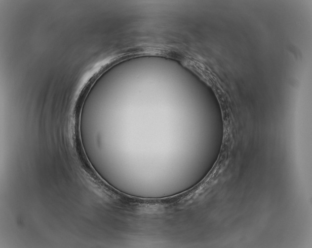 X0000115230342200911131648