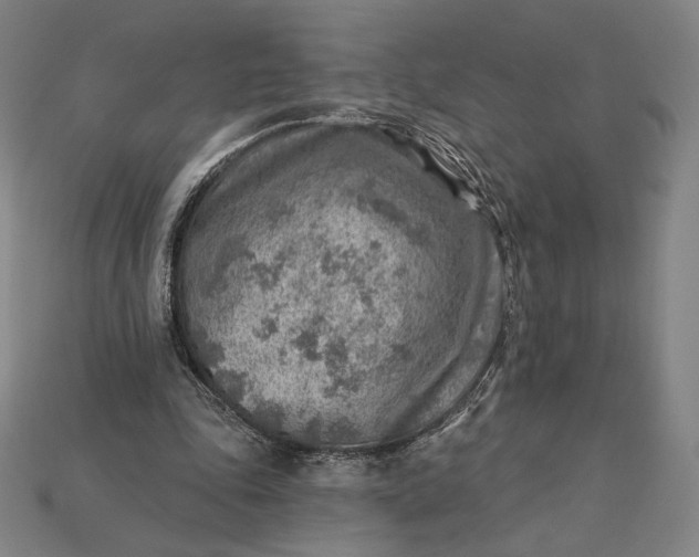 X0000115230343200911131648