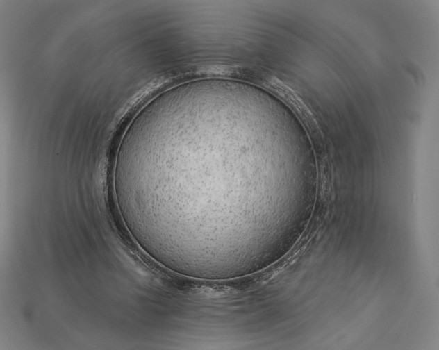 X0000115230346200911131648