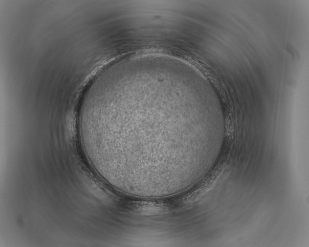 X0000115230347200911131648