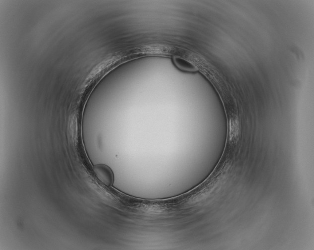 X0000115230349200911131648