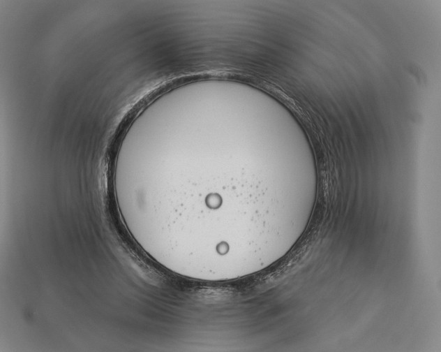 X0000115230350200911131648