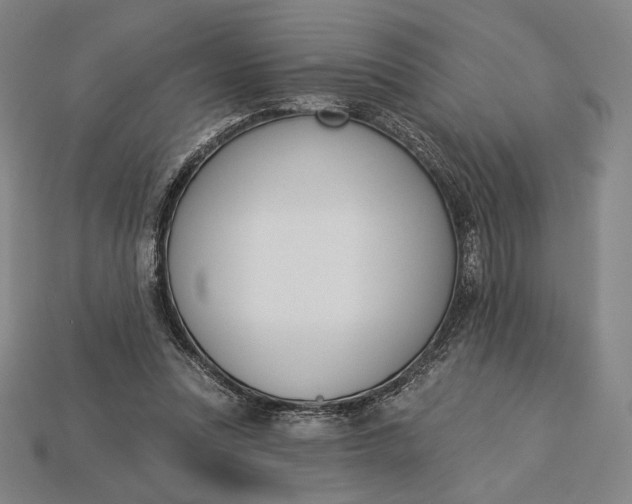 X0000115230351200911131648