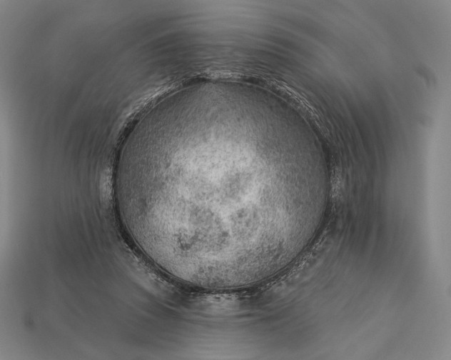 X0000115230353200911131648